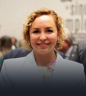 img director